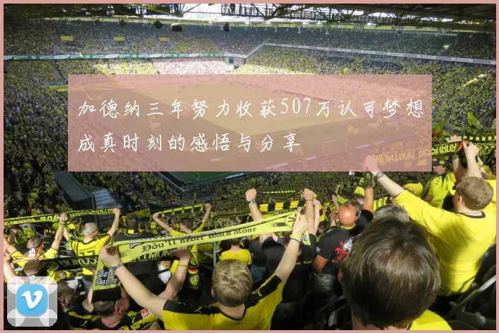 加德纳三年努力收获507万认可梦想成真时刻的感悟与分享