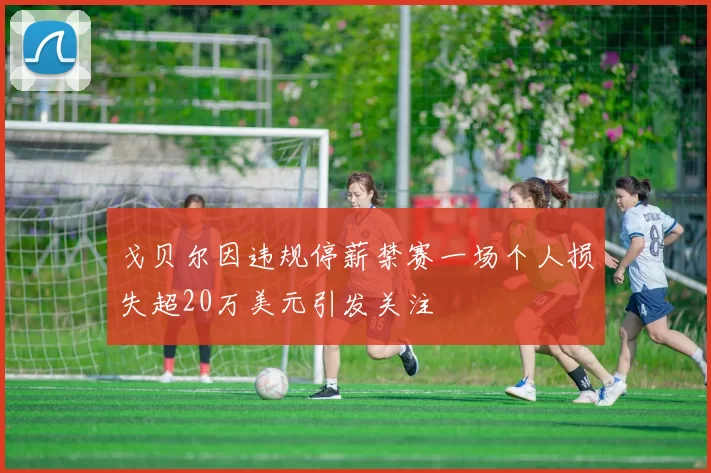 戈贝尔因违规停薪禁赛一场个人损失超20万美元引发关注