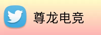 尊龙电竞 Logo